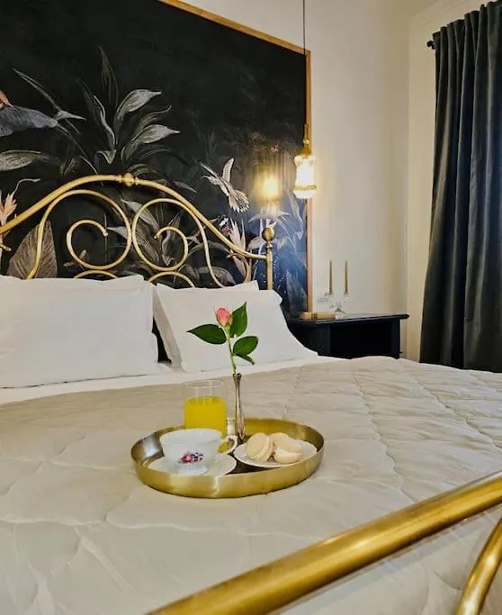 Novi'S Luxury Apartment 2 Gjirokastër